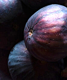 Cake aux figues et jambon cru