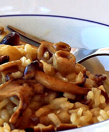 Risotto aux champignons